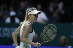 关于科维托娃遭遇七连败，德国队教练面临压力！的信息